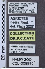 Etikette zu Agriotes hedini (NHMW-ZOO-COL-0008810)